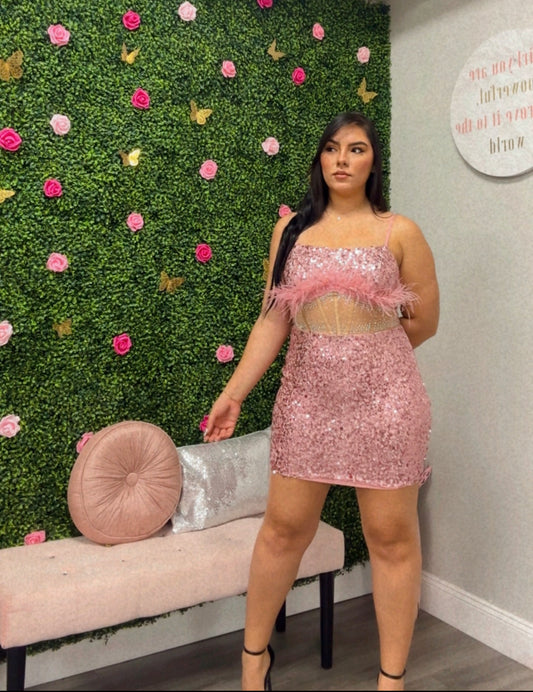Pink Glamorous Dress